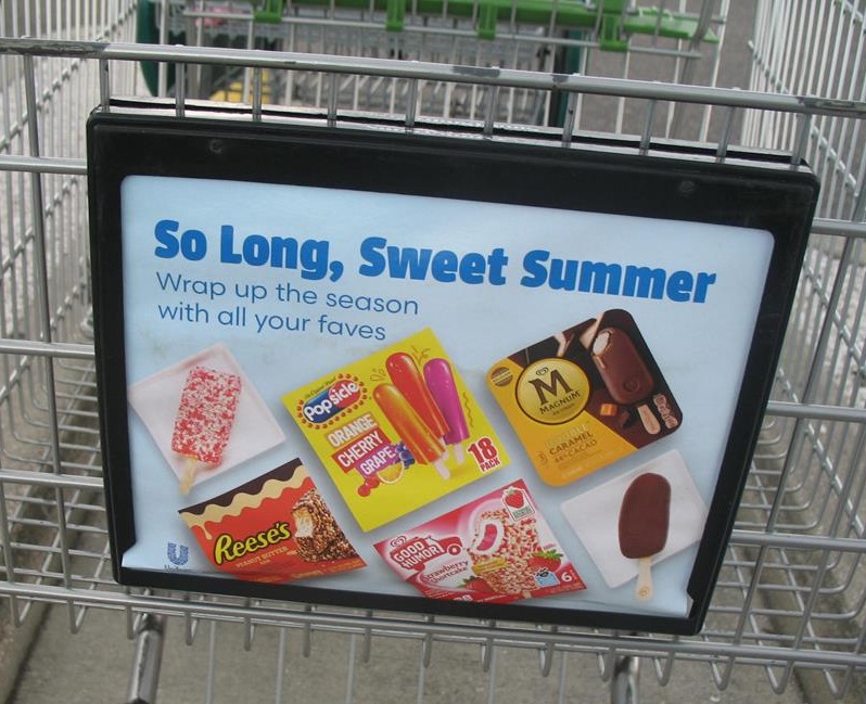 Reese's Peanut Butter Bars Popsicle Co-op,TPA,SCart,Publix,09-15-24