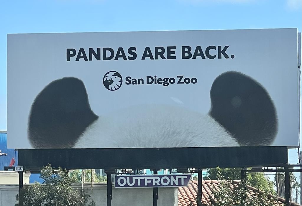 San Diego Zoo Pandas,SAN,Bultn,I-5 WS & 100ft NO Damon Ave. FN,09-16-24