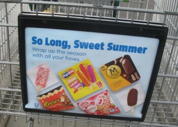 Reese's Peanut Butter Bars Popsicle Co-op,TPA,SCart,Publix,09-15-24