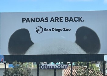 San Diego Zoo Pandas,SAN,Bultn,I-5 WS & 100ft NO Damon Ave. FN,09-16-24